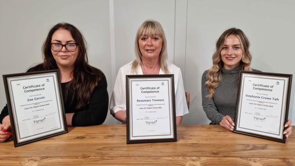 Lean Six Sigma Success For Team MyLife