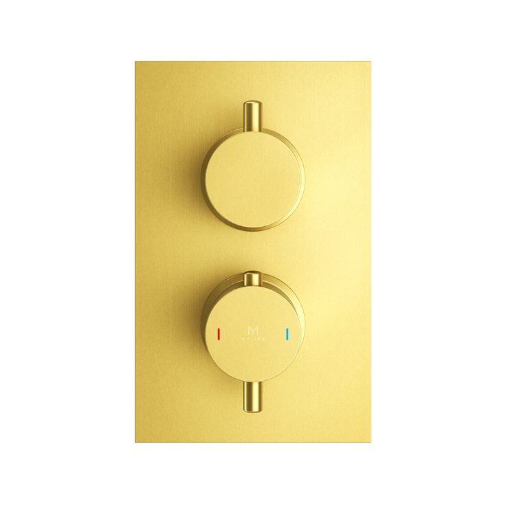 Desire Dual 2 Outlet Concealed Valve Brushed Brass | MyLife Bathrooms