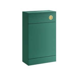 Ezra 500mm Back To Wall Unit