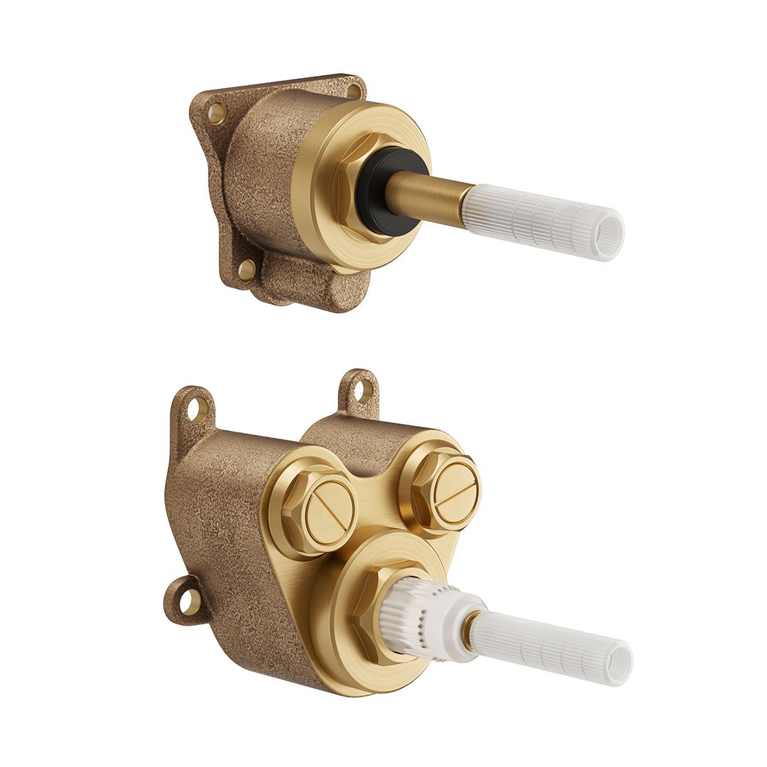 Thermostatic Mixer Valve & Diverter - 2 Outlet