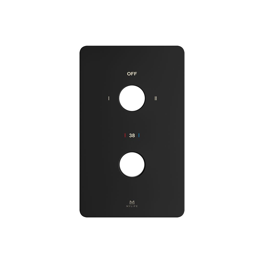 2 Outlet Wall Plate - Image 3